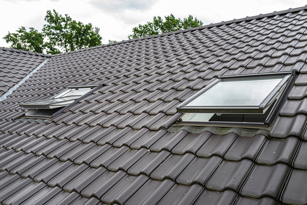 roofline loft conversion